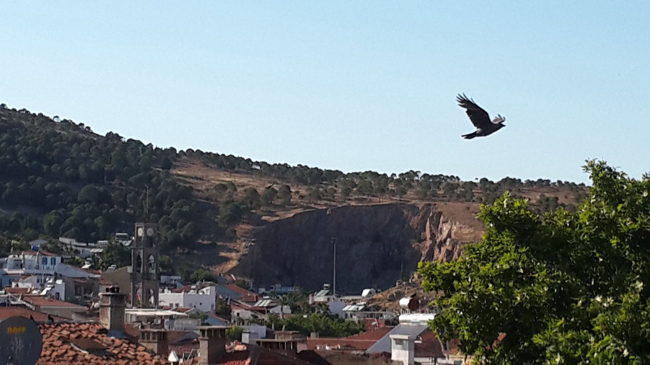 Photo of Others in Bozcaada