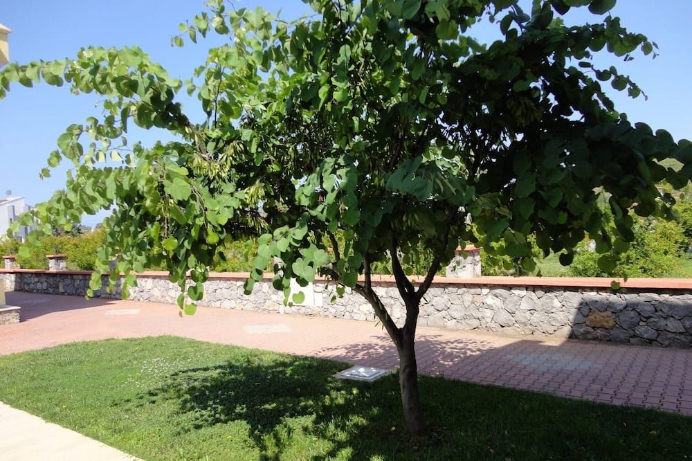 Photo of Outdoor in Ciftlik