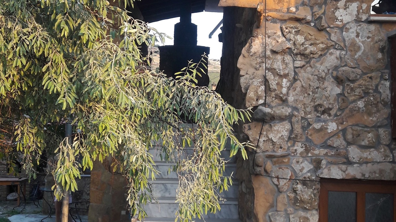 Photo of Others in Yenibademli