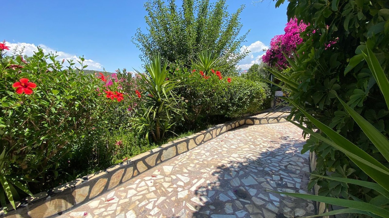 Photo of Outdoor in Patara