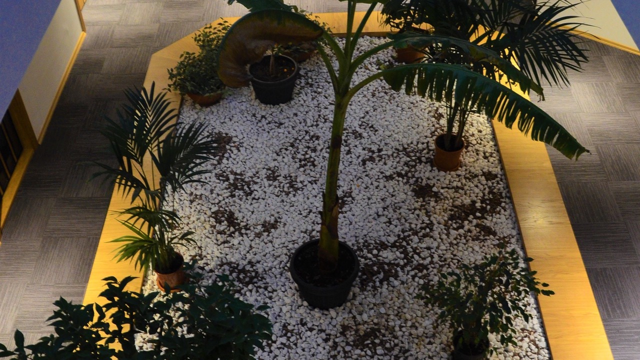 Photo of Outdoor in Luleburgaz