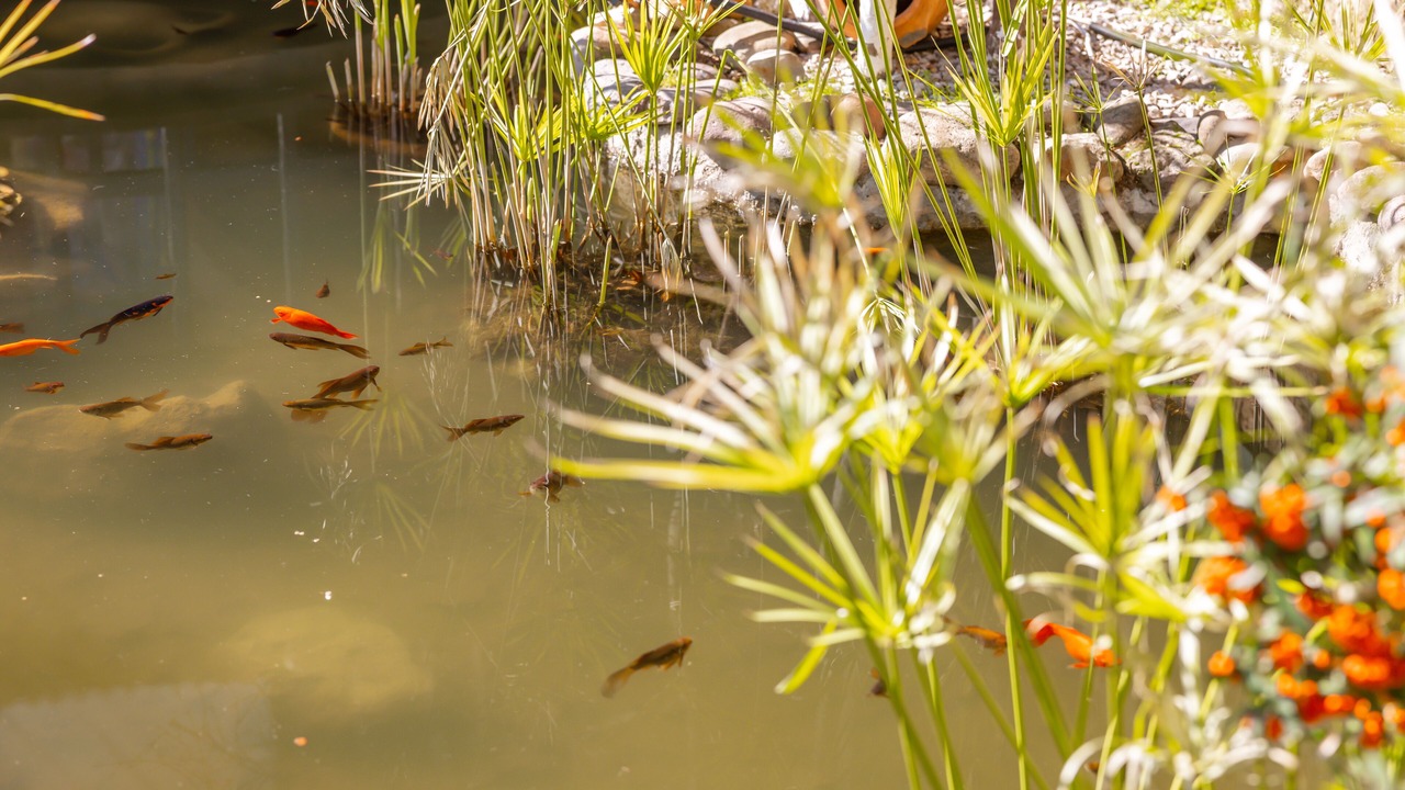 Photo of Outdoor in Yesilyurt Koyu