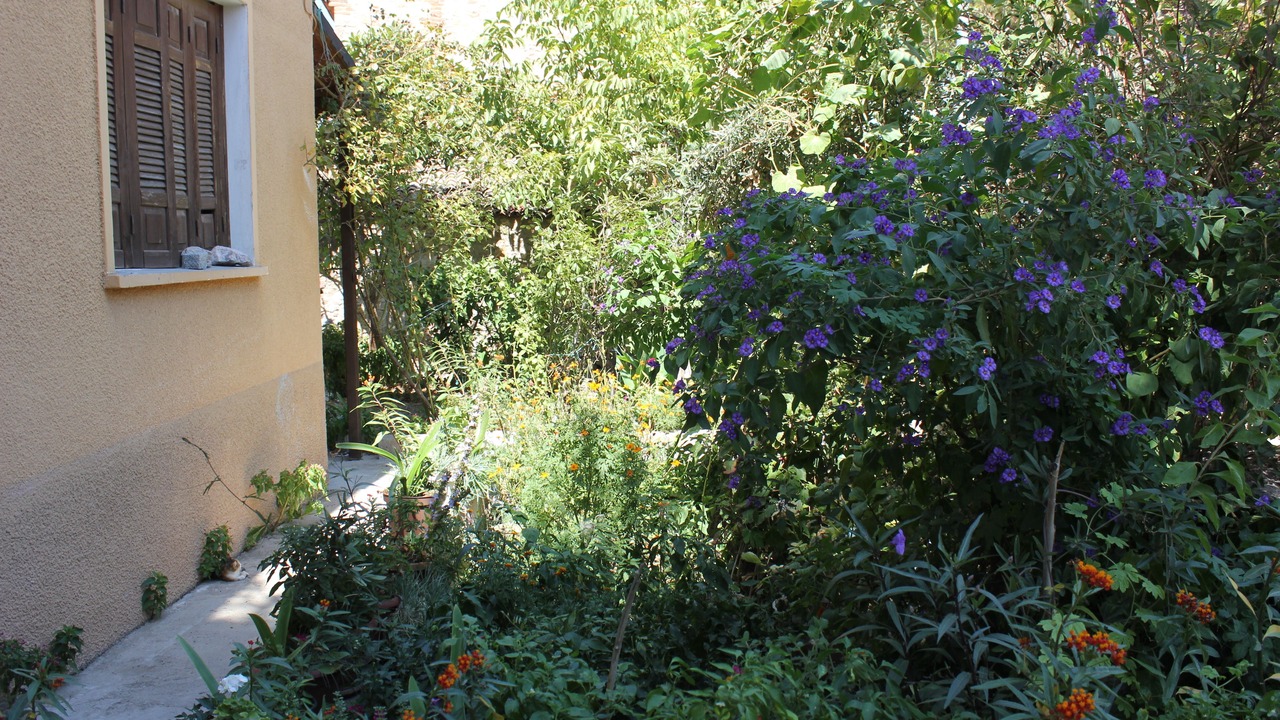 Photo of Outdoor in Ayvalik City Center