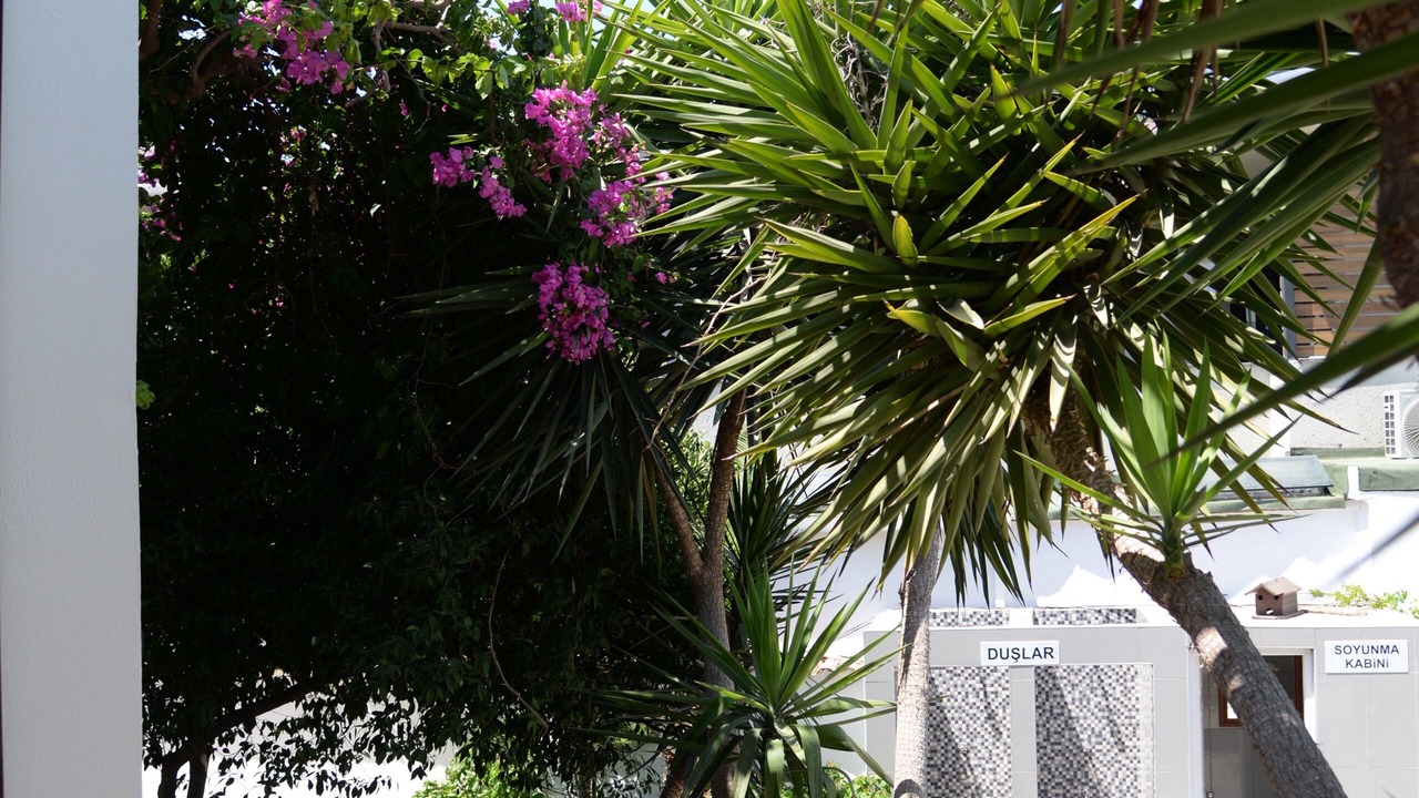 Photo of Outdoor in Ortakent