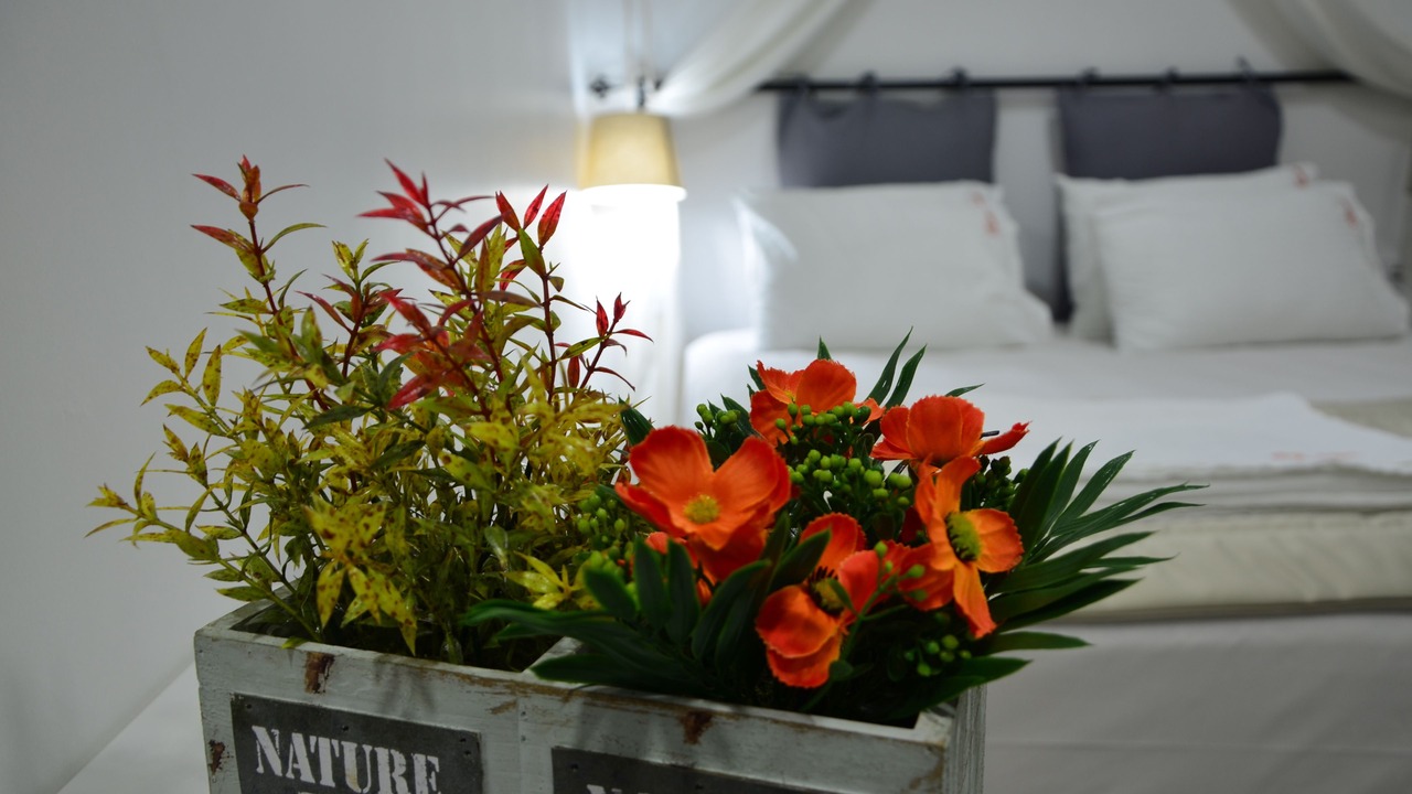 Photo of Bedroom in Sigacık