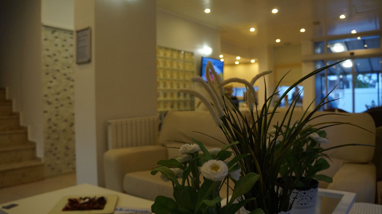 Photo of Others in Sarimsakli