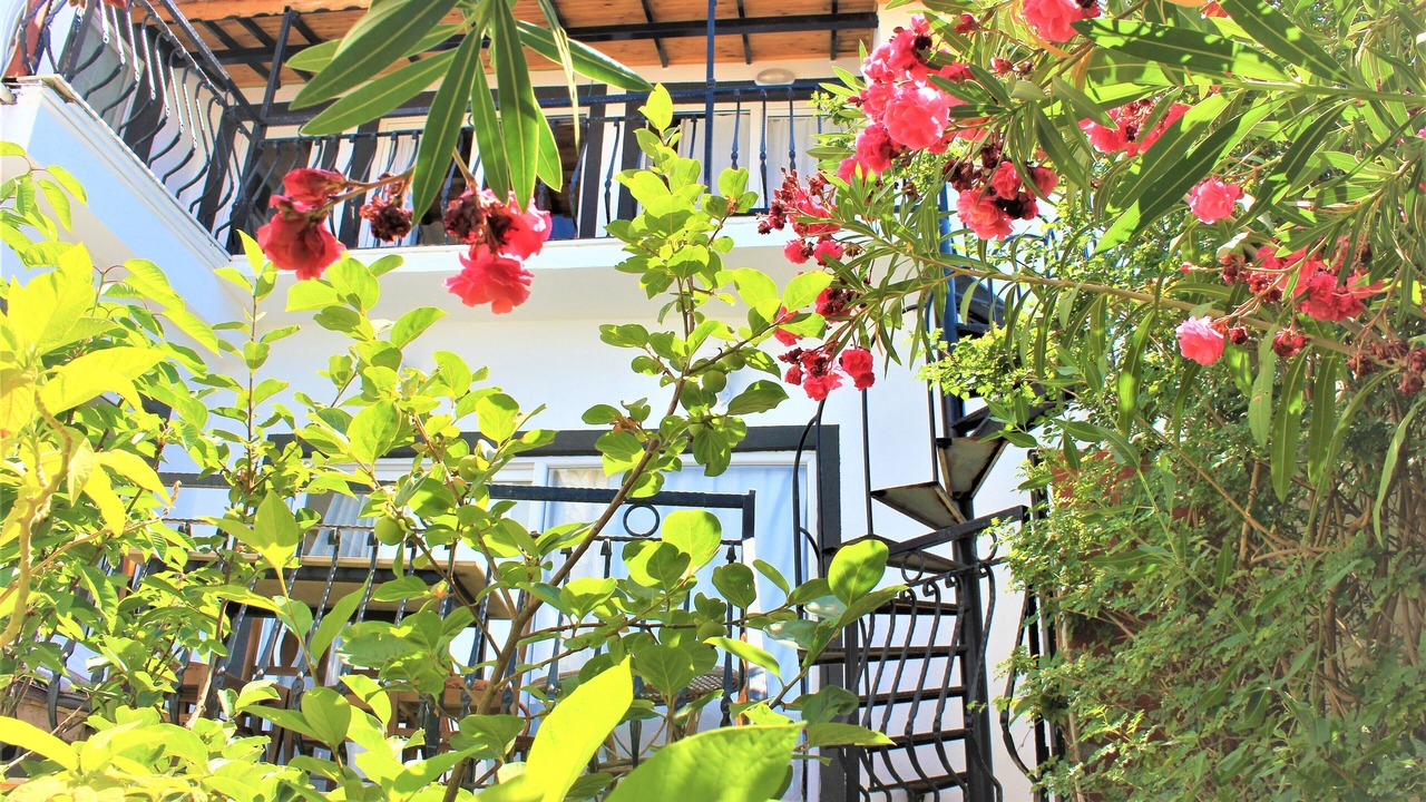 Photo of Outdoor in Kalkan