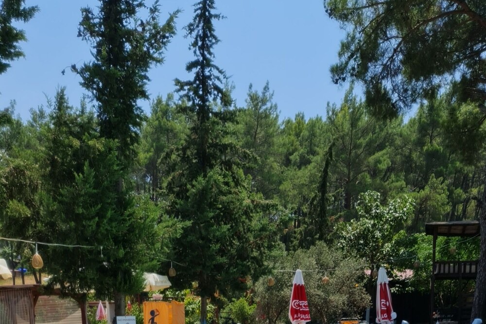 Photo of Outdoor in Olympos