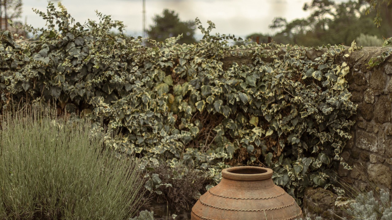 Photo of Outdoor in Adatepe