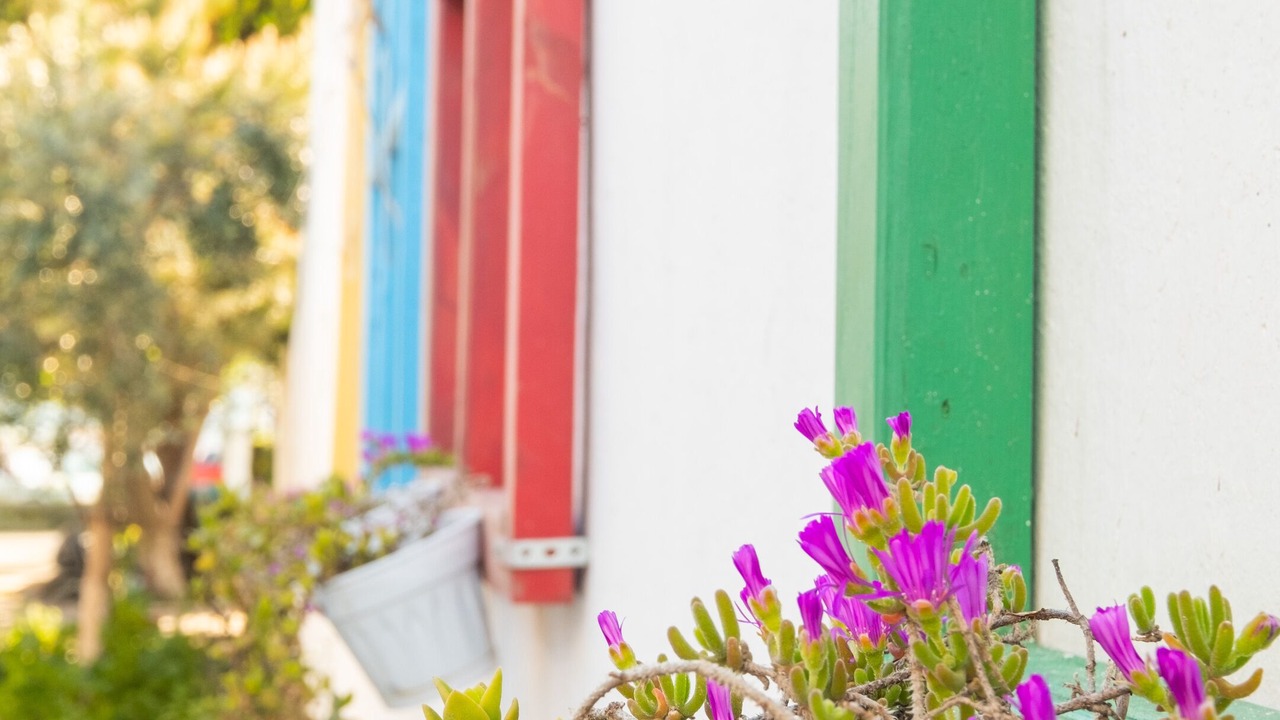 Photo of Outdoor in Mudanya