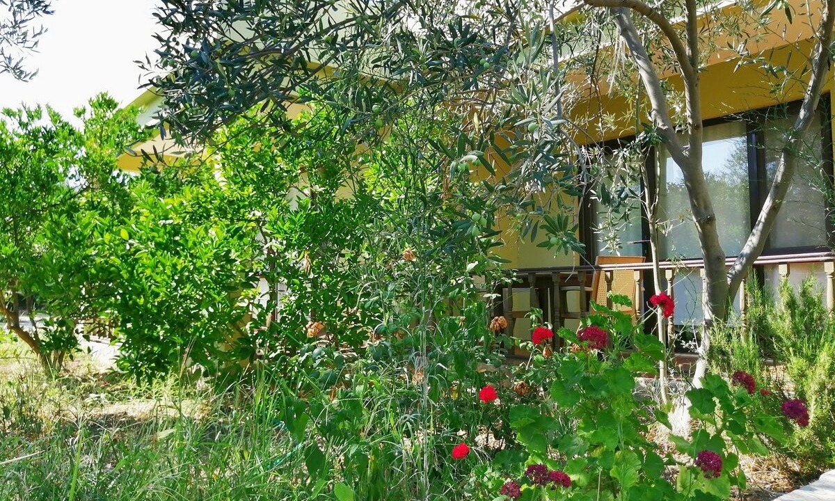 Photo of Outdoor in Ayvacik