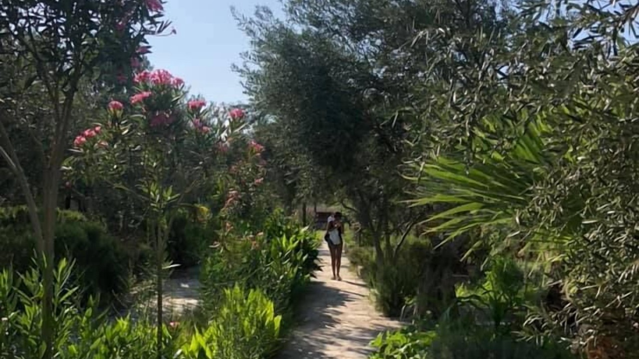 Photo of Outdoor in Ayvacik