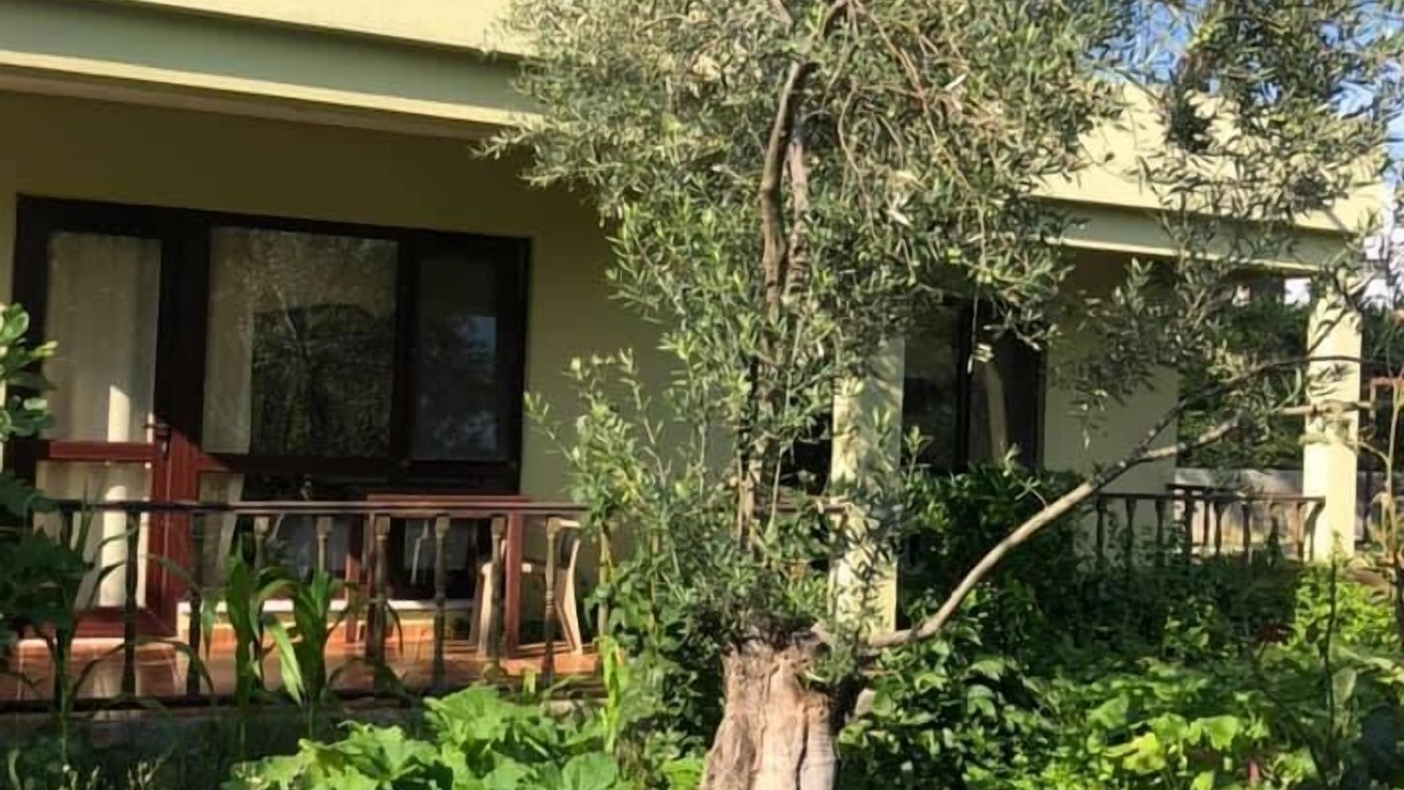 Photo of Outdoor in Ayvacik