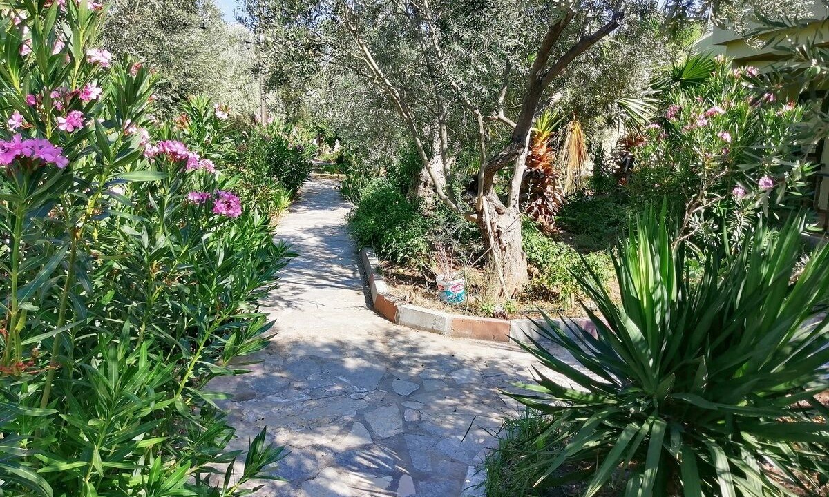 Photo of Outdoor in Ayvacik