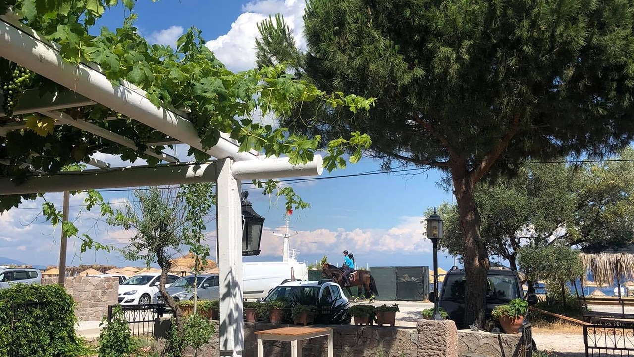 Photo of Outdoor in Ayvacik
