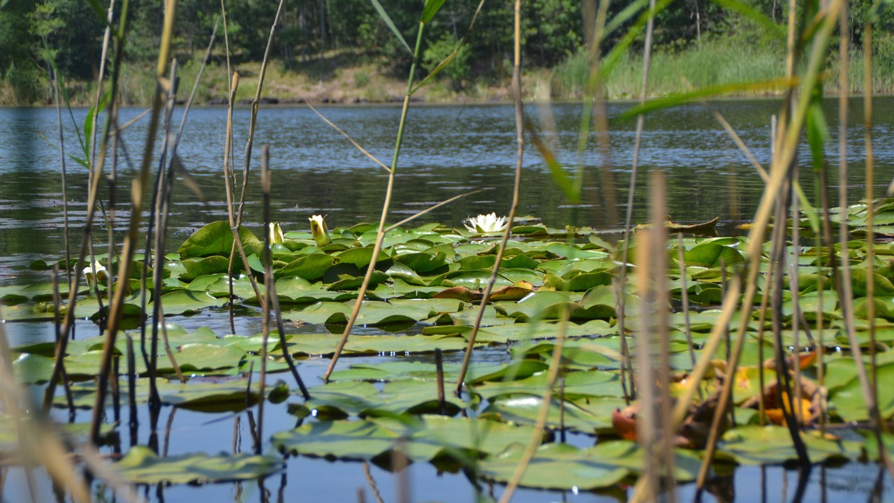 Photo of Outdoor in Igneada