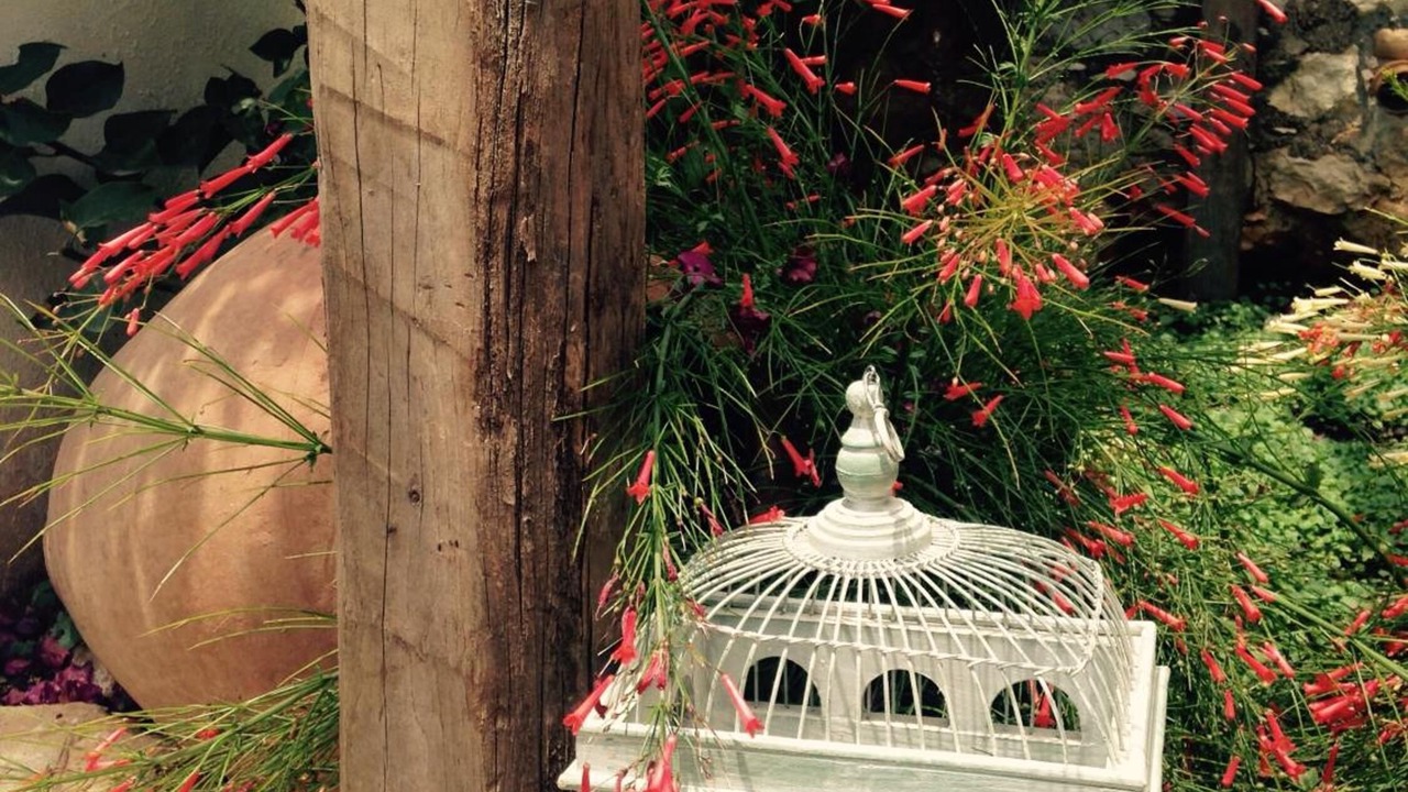 Photo of Outdoor in Kalkan