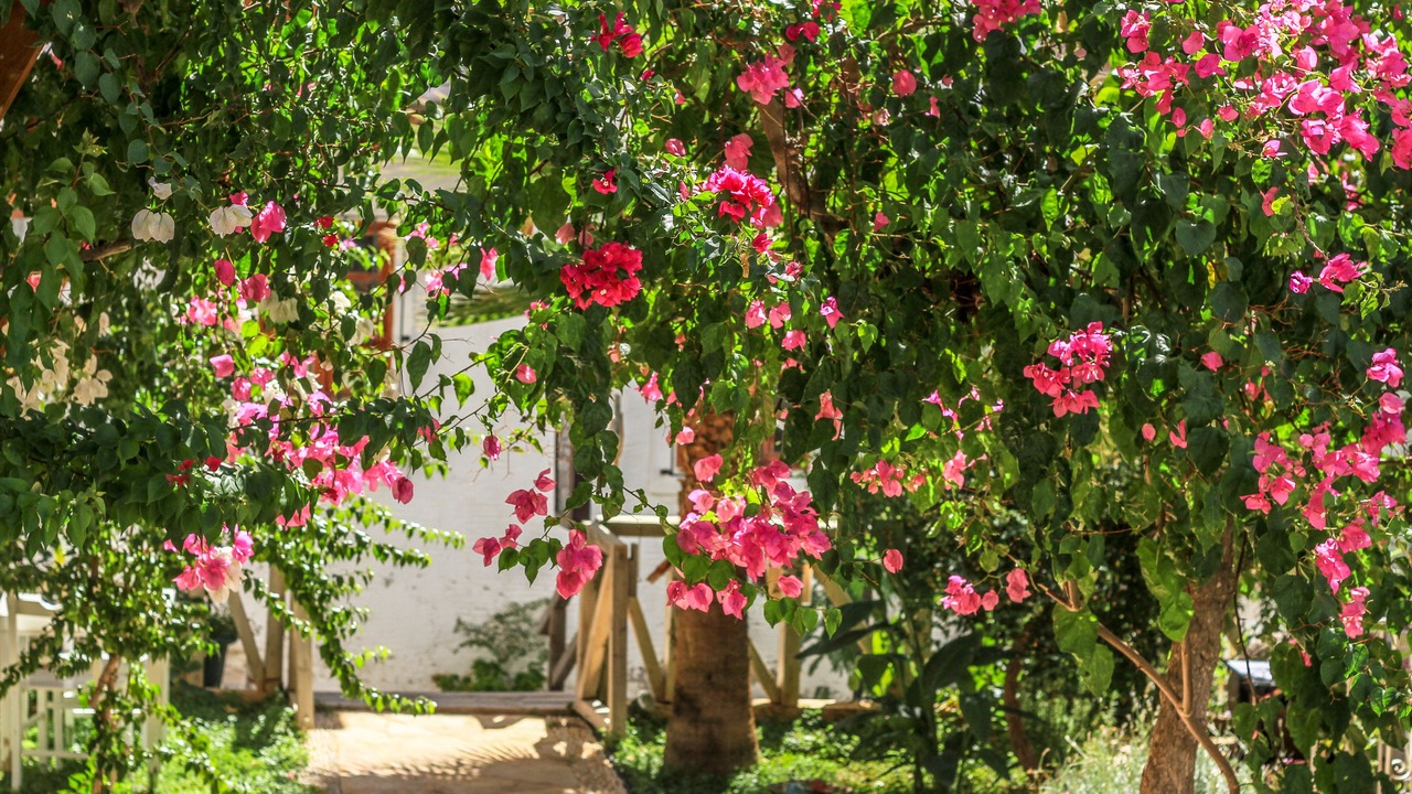 Photo of Outdoor in Kalkan