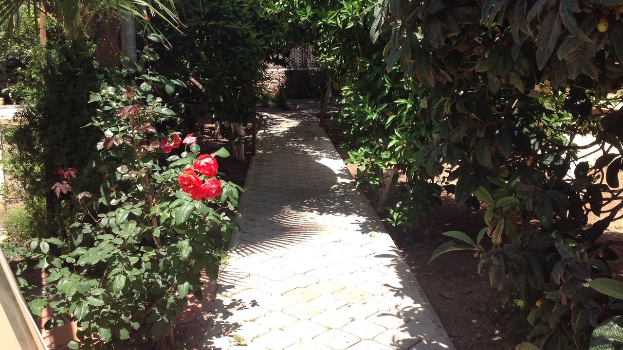 Photo of Outdoor in Oludeniz City Center