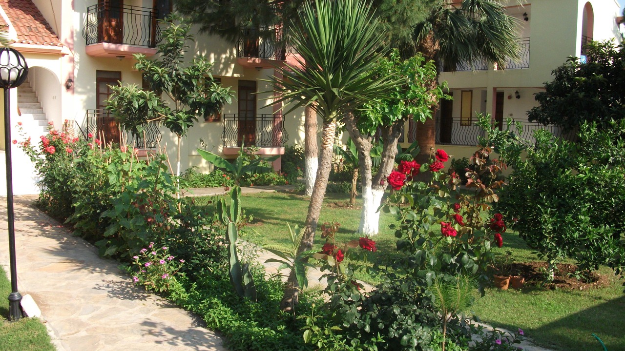 Photo of Outdoor in Oludeniz City Center
