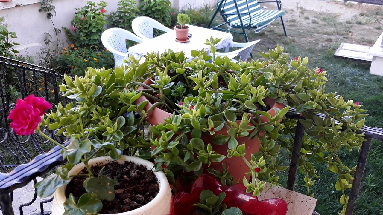 Photo of Outdoor in Gokceada