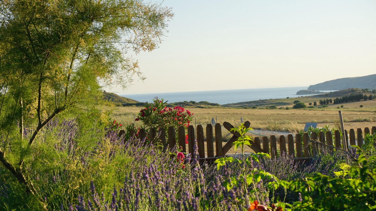 Photo of Outdoor in Gokceada