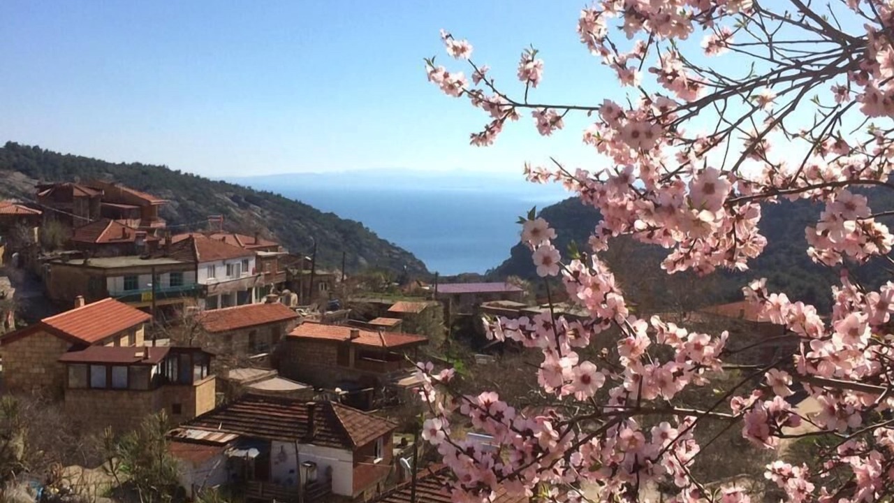 Photo of Outdoor in Ayvacik