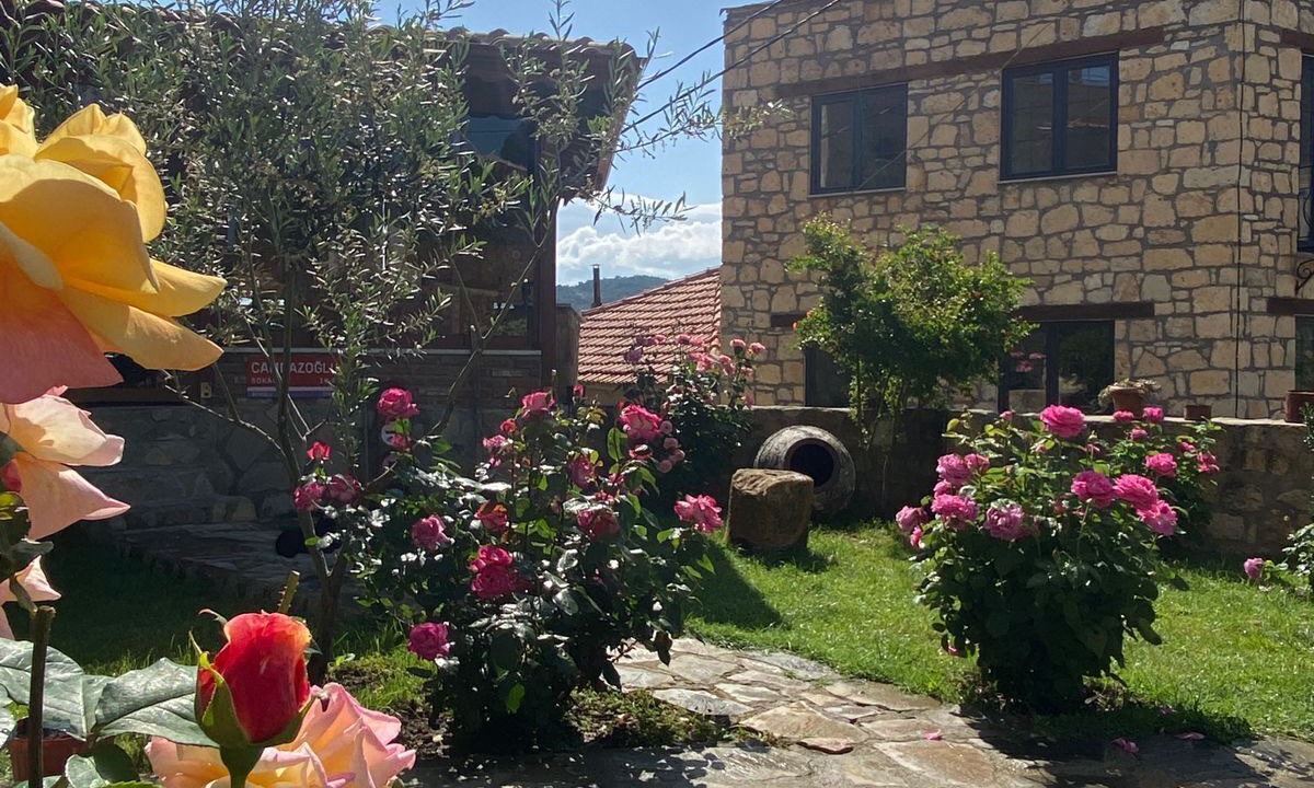 Photo of Outdoor in Ayvacik