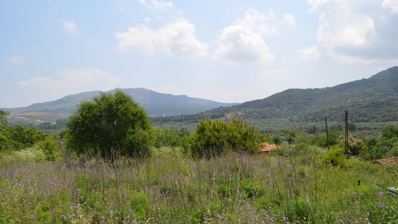 Photo of Outdoor in Zeytinlikoy