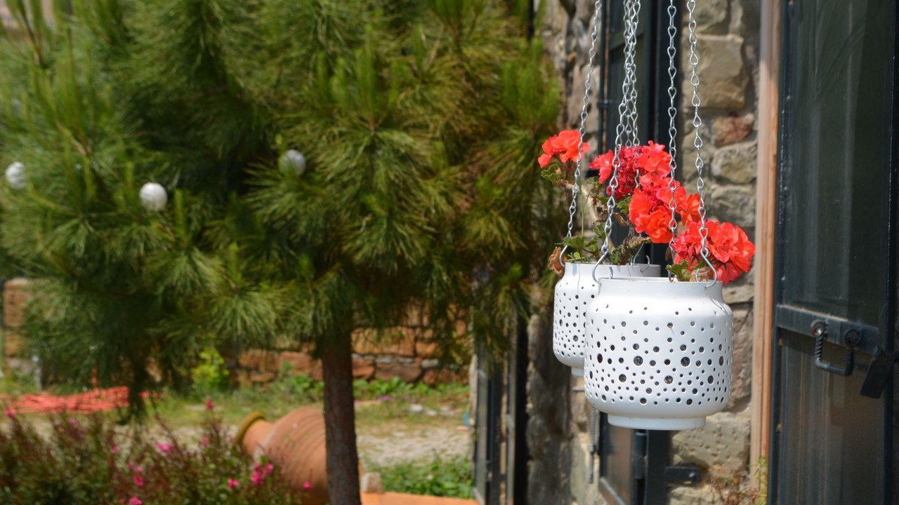 Photo of Outdoor in Zeytinlikoy