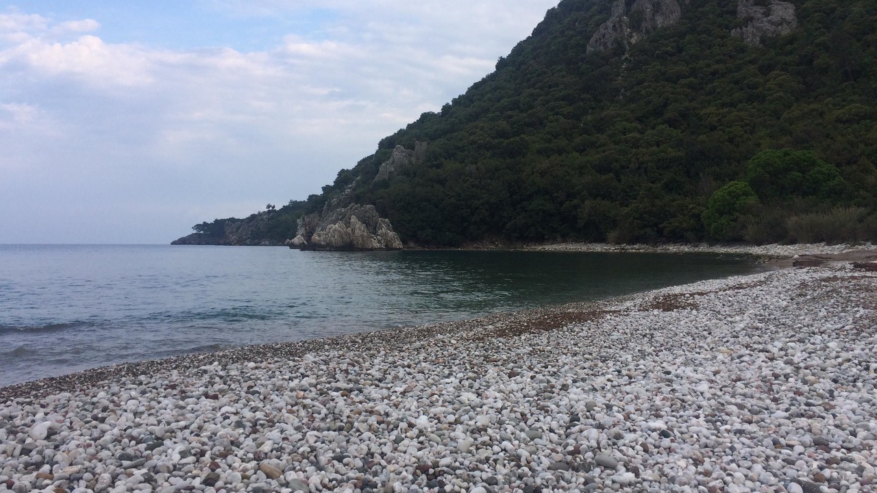 Photo of Others in Olympos