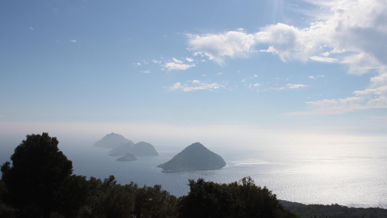 Photo of Others in Olympos