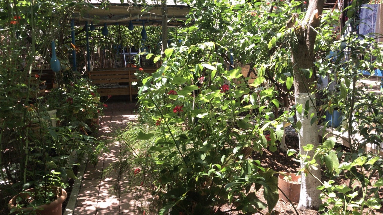 Photo of Outdoor in Kaleucagiz