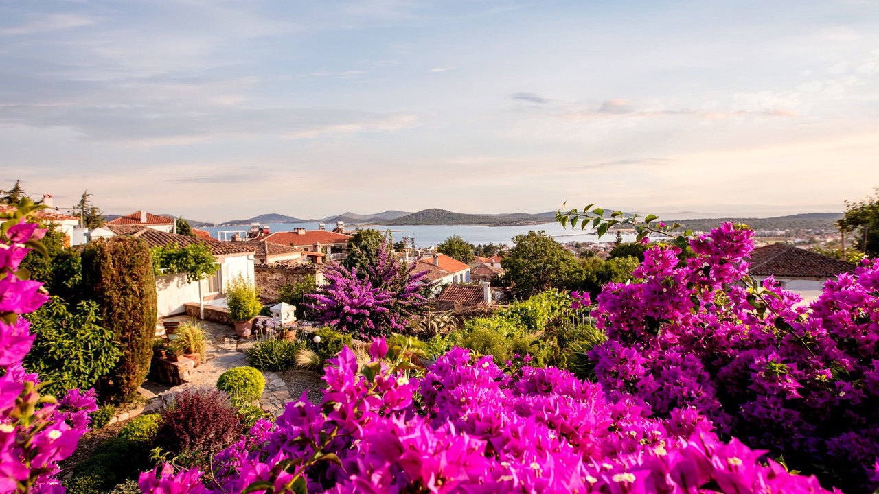 Photo of Others in Ayvalik