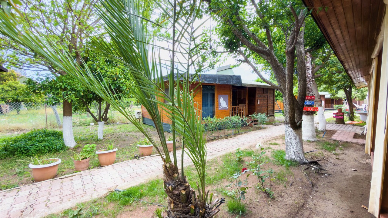Photo of Outdoor in Cirali