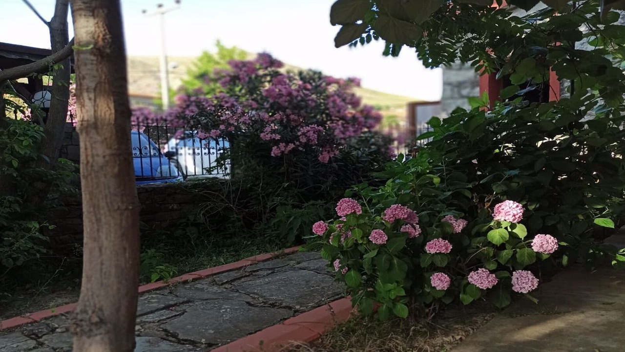 Photo of Outdoor in Gokceada