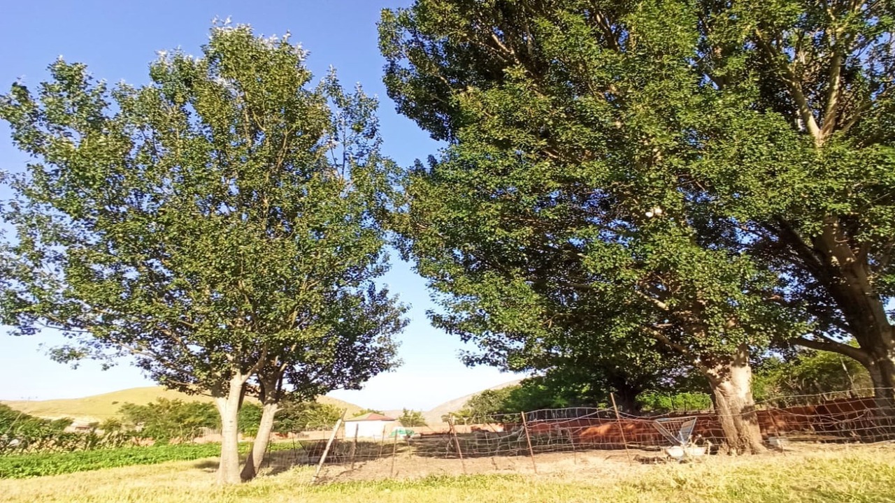 Photo of Outdoor in Gokceada