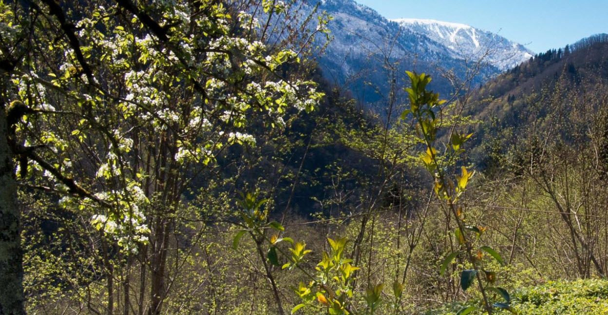 Photo of Others in Ayder