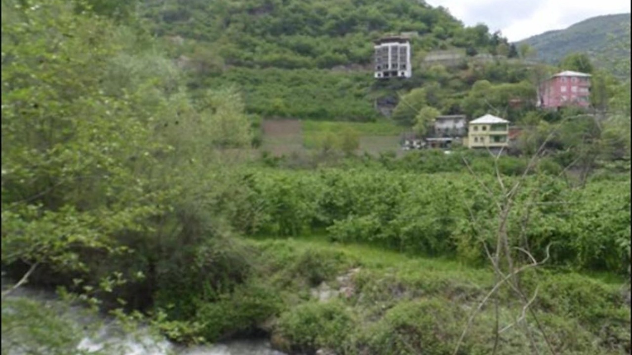 Photo of Others in Macka