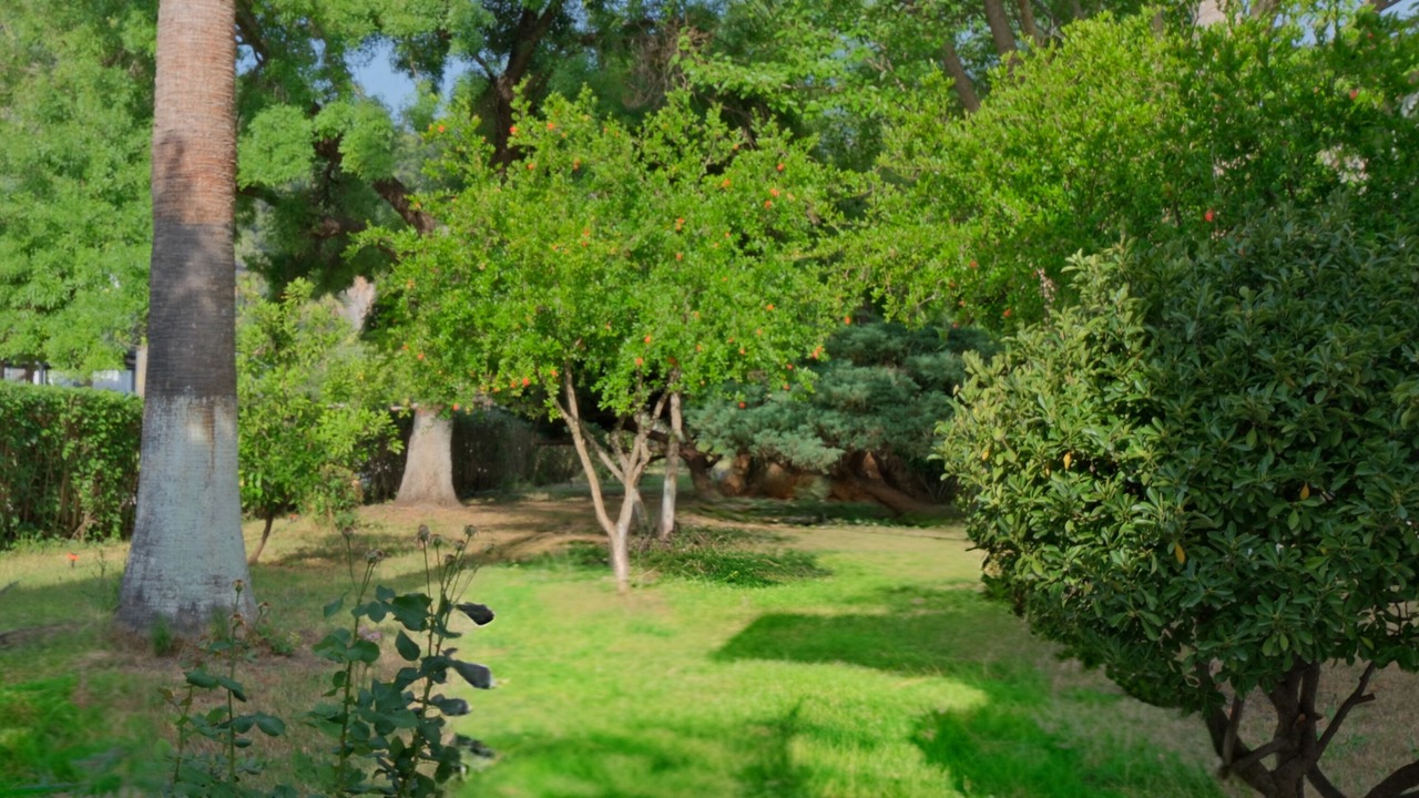 Photo of Outdoor in Dalyan