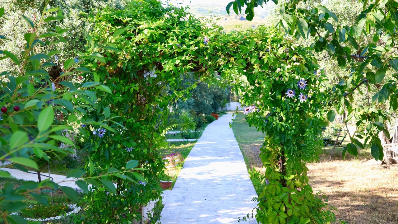Photo of Outdoor in Marmara