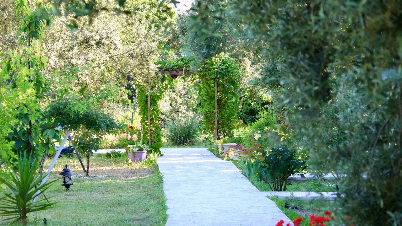 Photo of Outdoor in Marmara