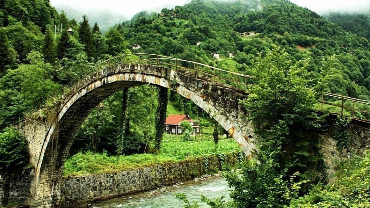 Photo of Others in Ayder