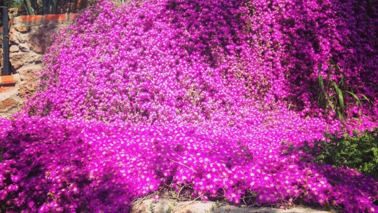 Photo of Outdoor in Ayvacik