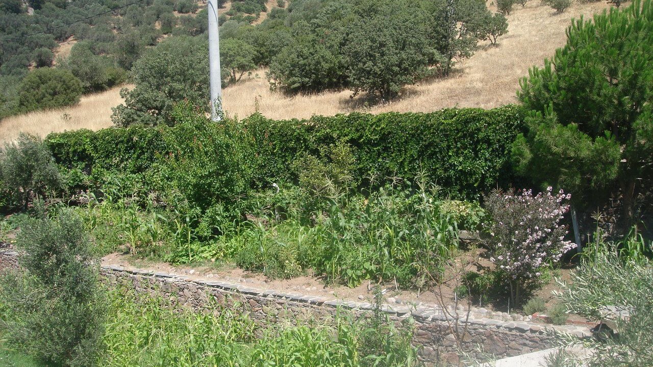 Photo of Outdoor in Ayvacik