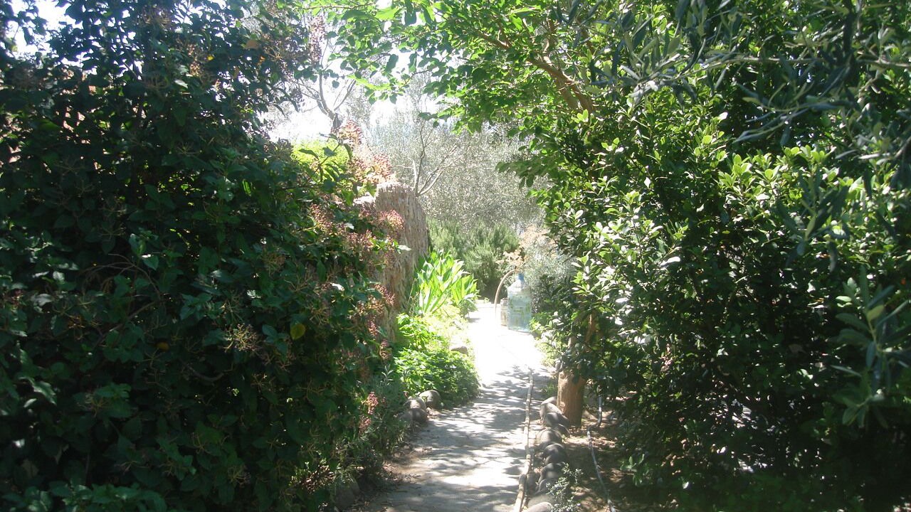 Photo of Outdoor in Ayvacik