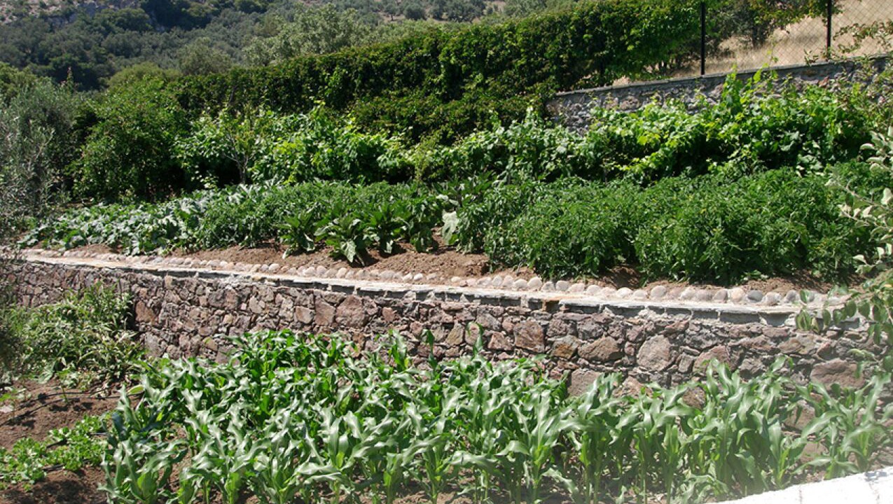 Photo of Outdoor in Ayvacik