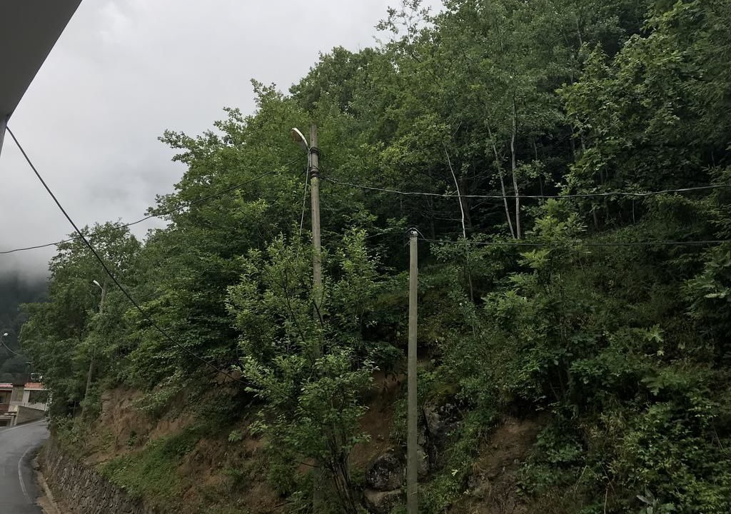 Photo of Outdoor in Caykara