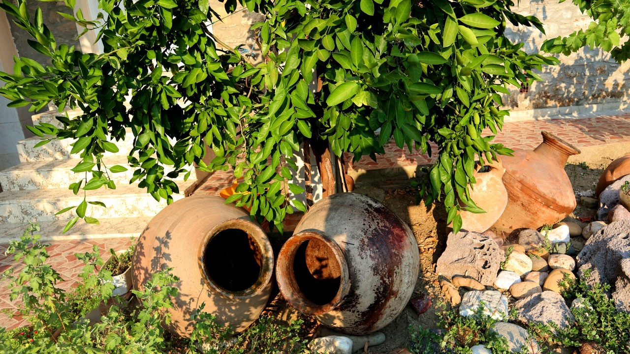 Photo of Outdoor in Gokceada