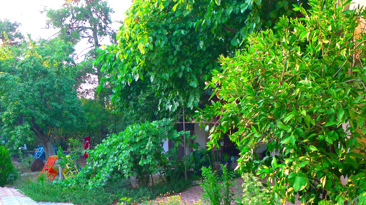 Photo of Others in Gokceada